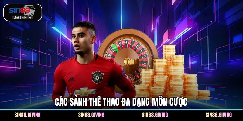 Các sảnh thể thao đa dạng môn cược