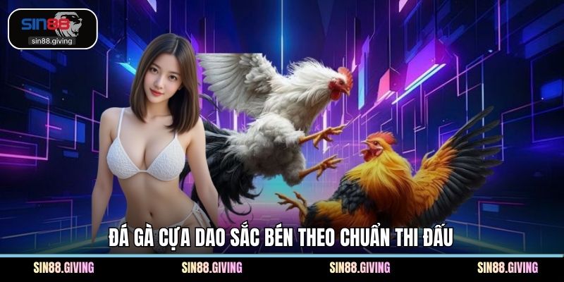 Đá gà cựa dao sắc bén theo chuẩn thi đấu