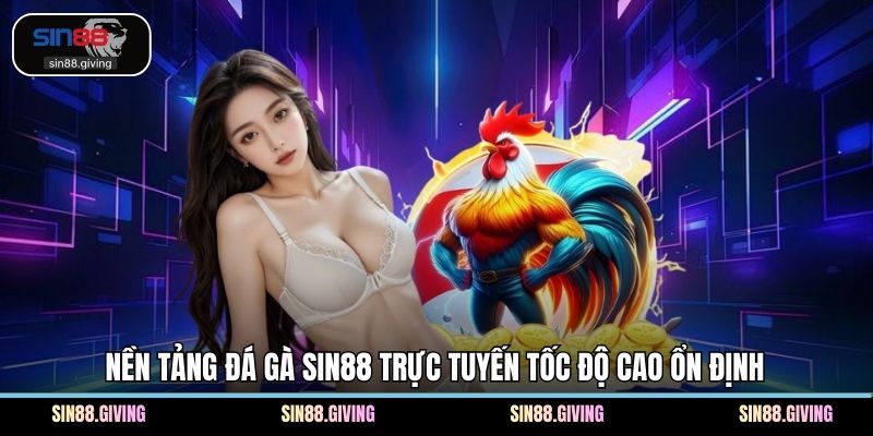 Nền tảng đá gà SIN88 trực tuyến tốc độ cao ổn định